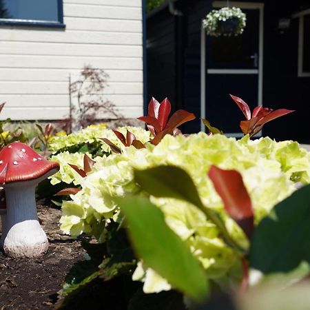 Gezellig En Relaxed Verblijf In Chalet In Putten Op De Veluwe! Ngoại thất bức ảnh